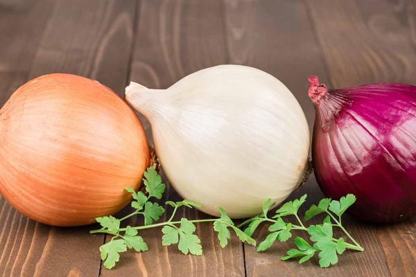 تصویر 4 از قیمت پیاز قرمز تبریزی + خرید باور نکردنی